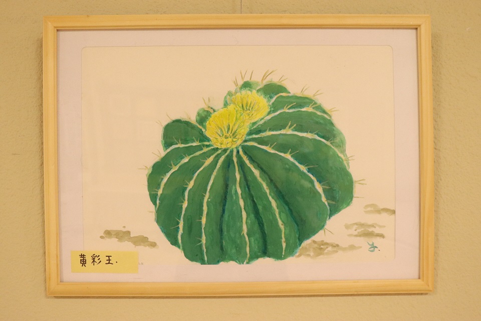 cactusyuuの植物画展の様子1