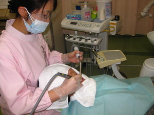 歯科口腔外科外来での歯科診療の補助の様子