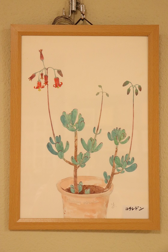 cactusyuuの植物画展の様子1