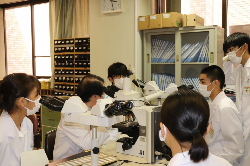 顕微鏡を覗く高校生たち