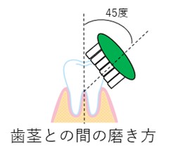 歯茎との間の磨き方のイメージ図