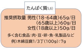 タンパク質の推奨摂取量女性50g男性60～65g